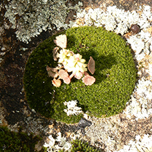 Foto Landartatelier